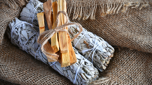 Sage vs. Palo Santo: Which is Best for Your Meditation Practice?