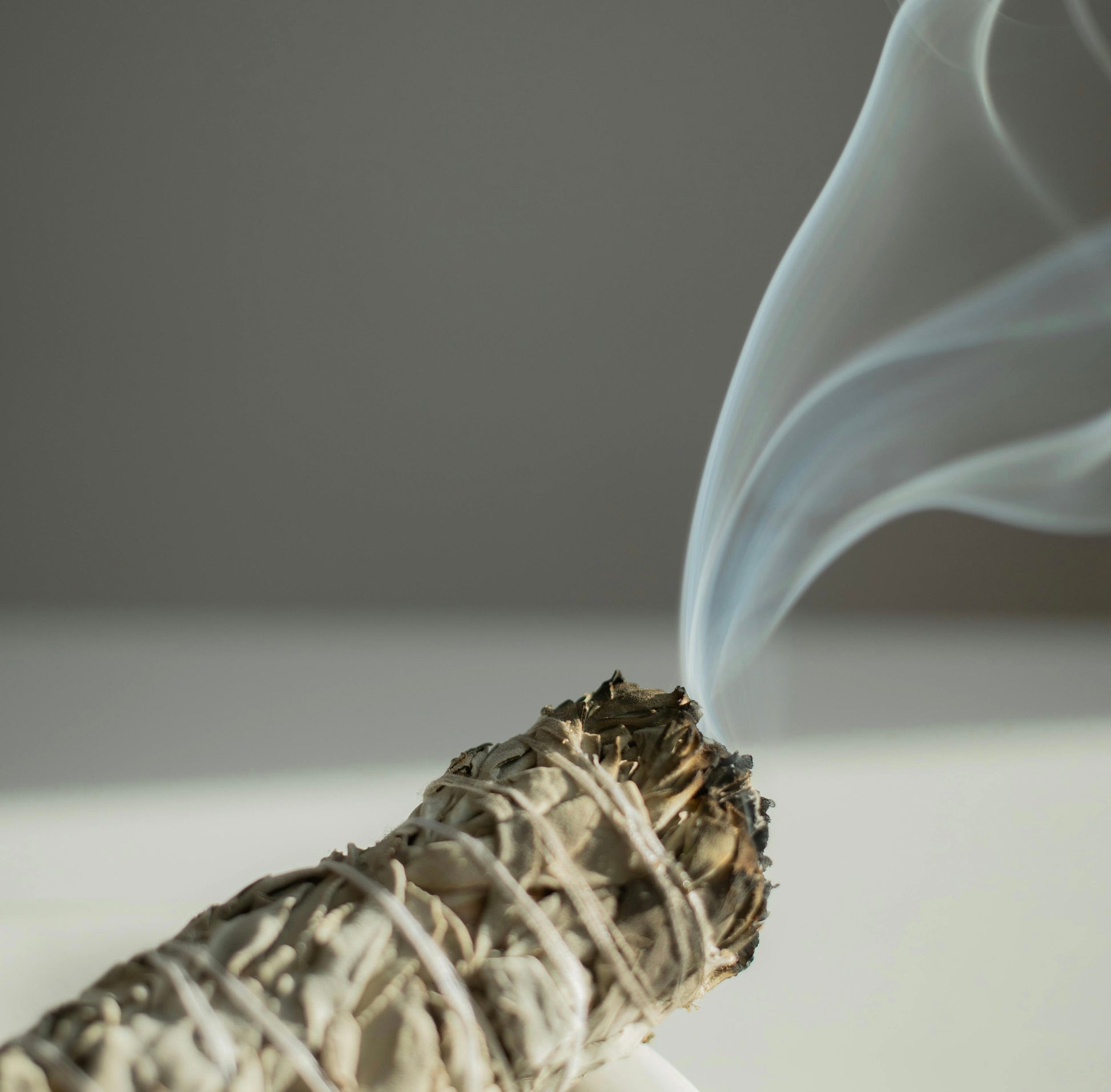 tobacco smudge stick Ceder (tobacco)(figwort)smudge Sticks and elevate your space with the essence of true Black Sage Balance Your Energy Natural
